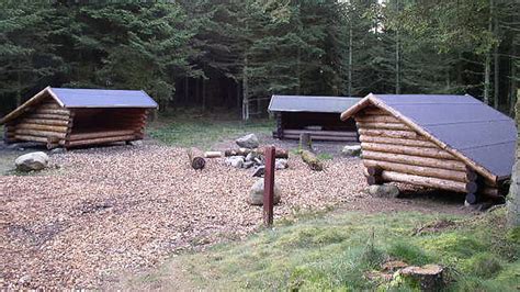 hundeskov struer|Klosterheden Hornet Hundeskoven